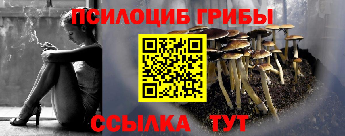 Псилоцибиновые грибы Cubensis Семёнов