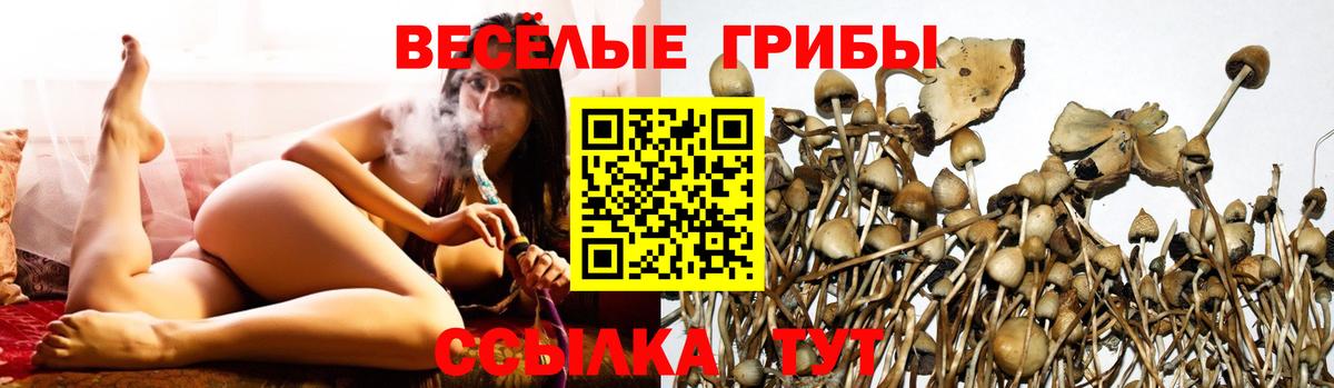 Псилоцибиновые грибы Psilocybine cubensis  Вход с VPN  Семёнов 